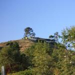 IMG_4236.JPG