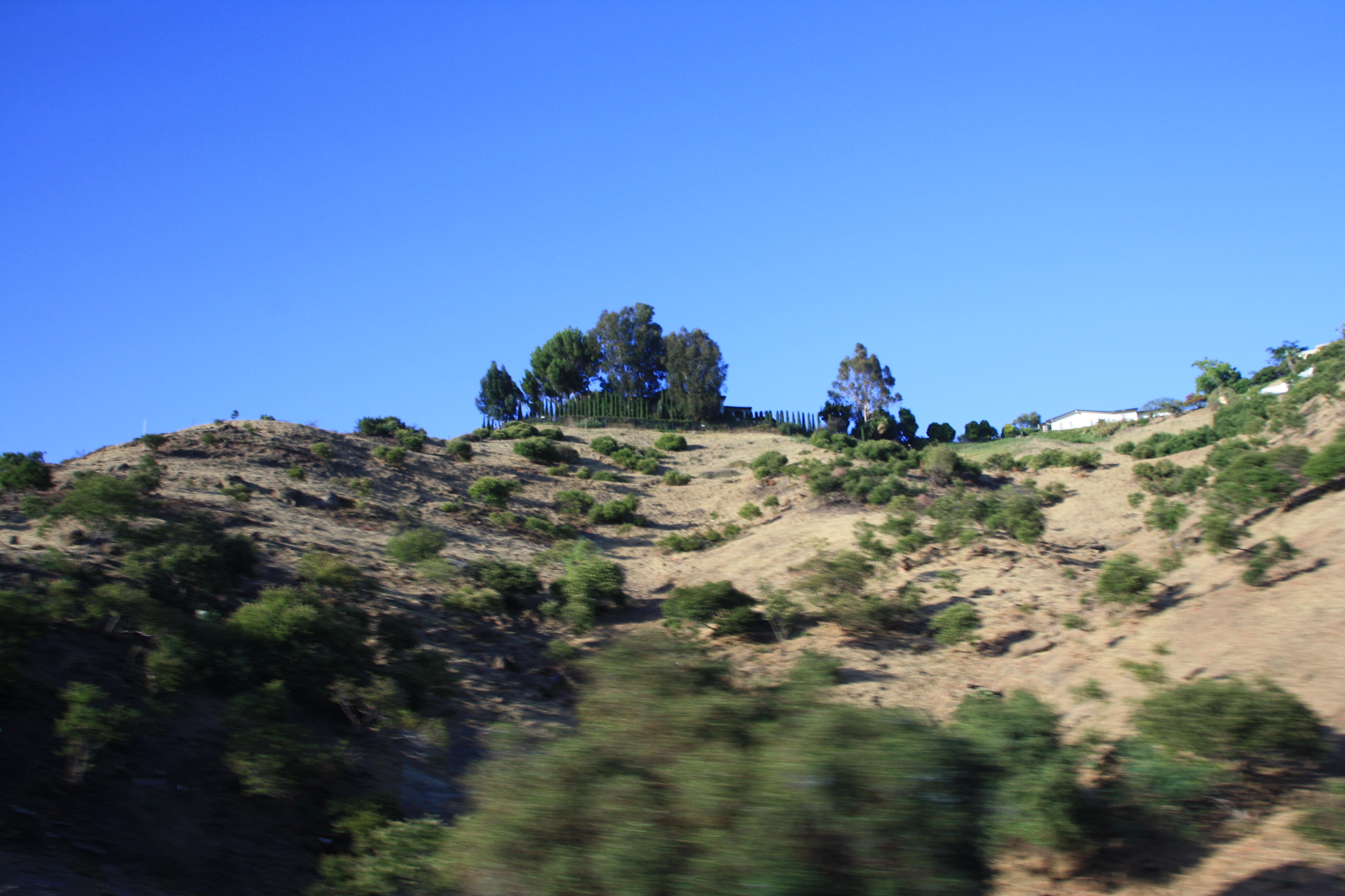 IMG_4237.JPG