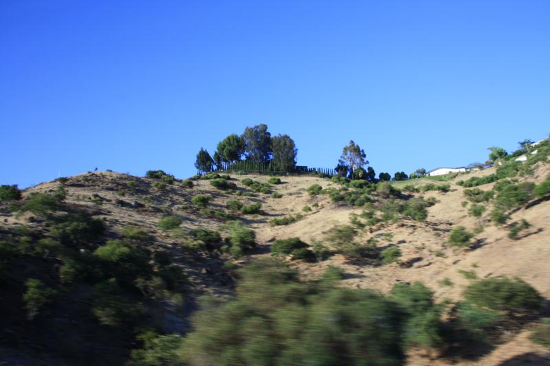 IMG_4237.JPG