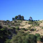 IMG_4237.JPG