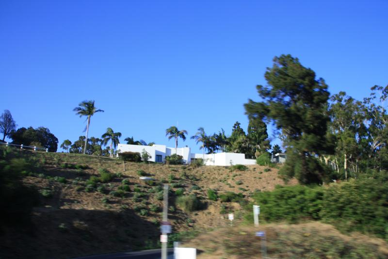 IMG_4238.JPG