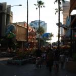IMG_4255.JPG