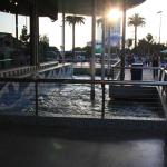 IMG_4259.JPG
