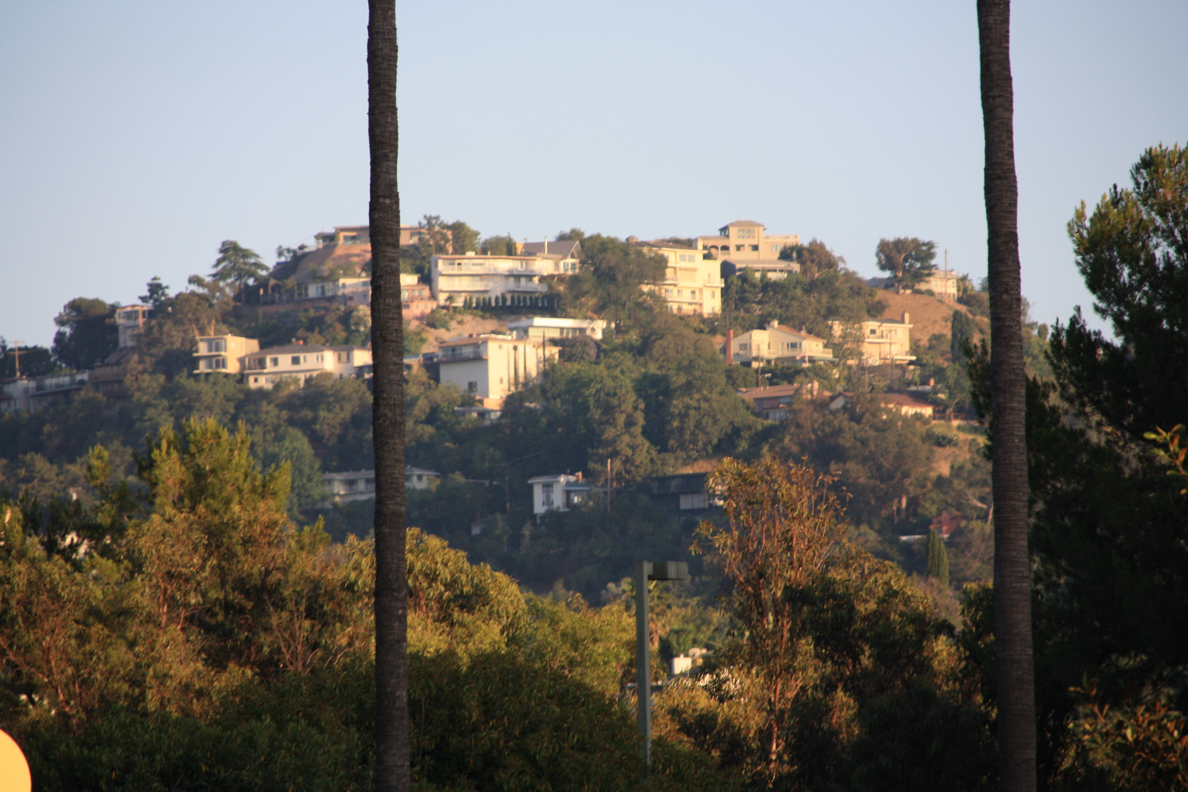 IMG_4261.JPG