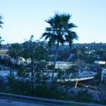 IMG_4266.JPG