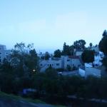 IMG_4269.JPG