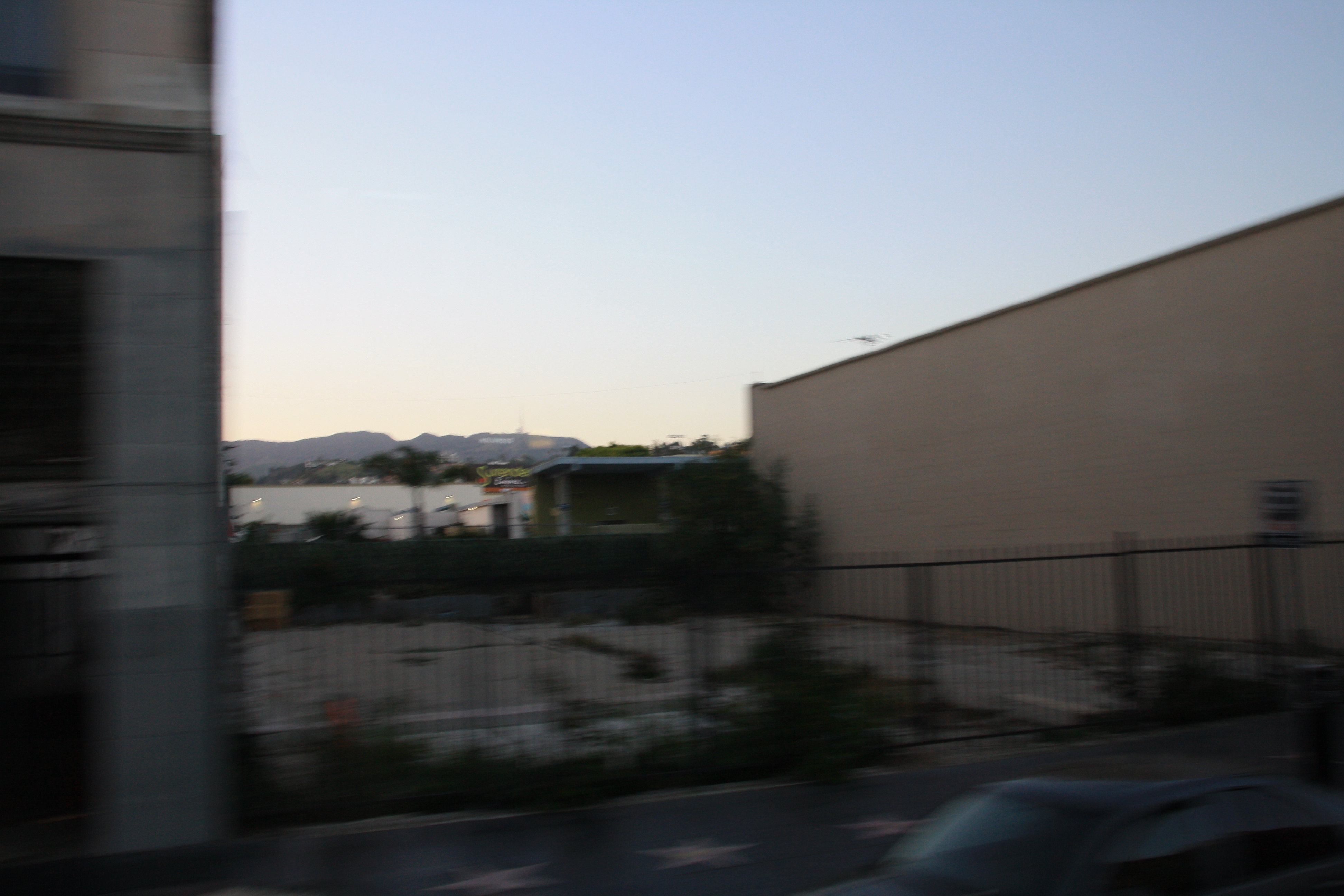 IMG_4281.JPG