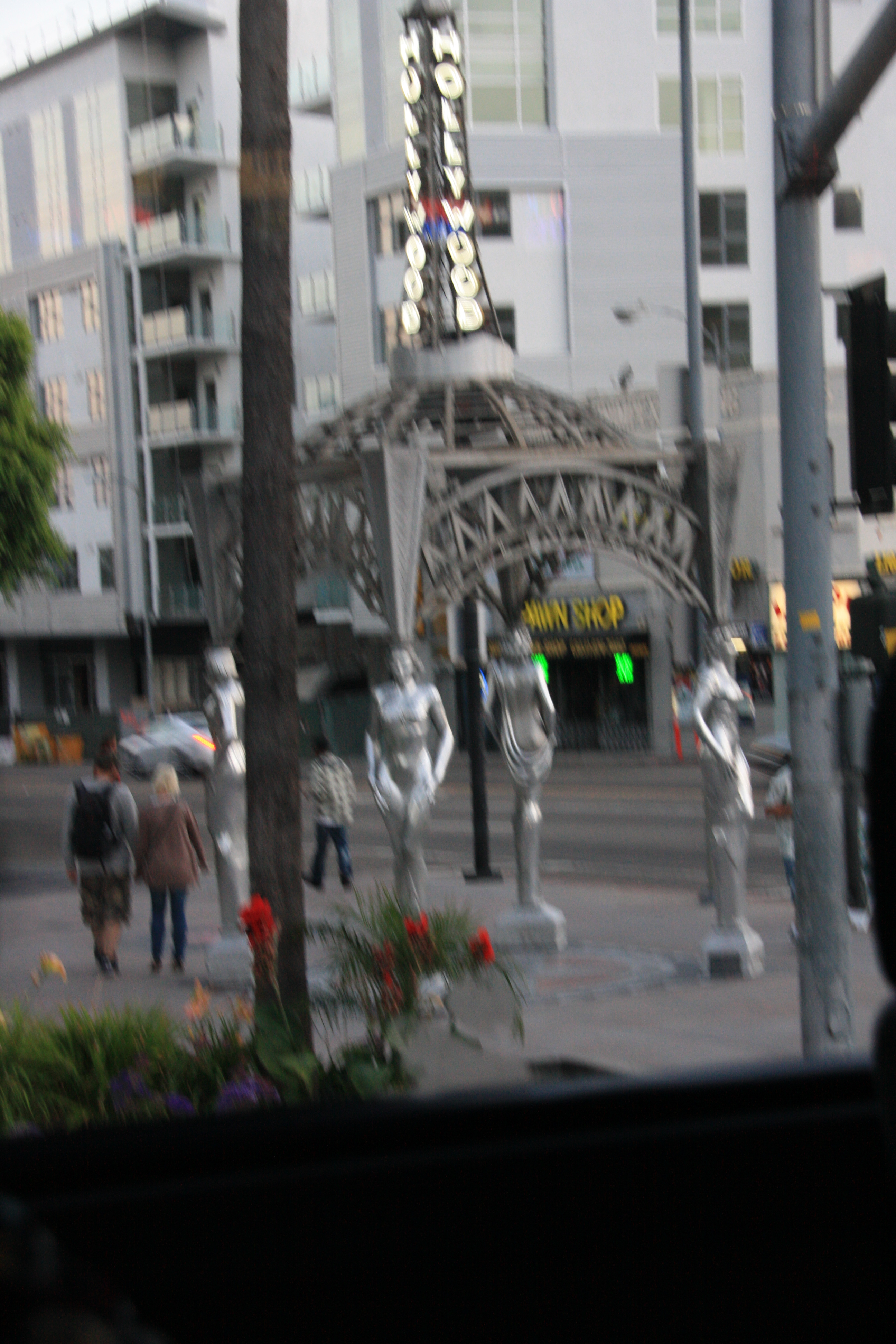 IMG_4294.JPG