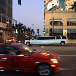 IMG_4337.JPG