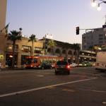 IMG_4343.JPG