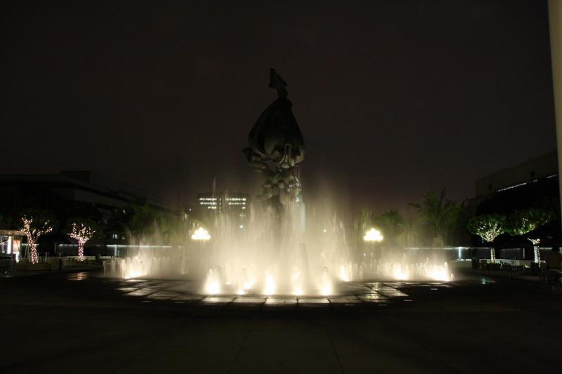 IMG_4431.JPG