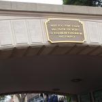 IMG_4536.JPG