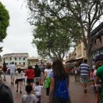 IMG_4537.JPG