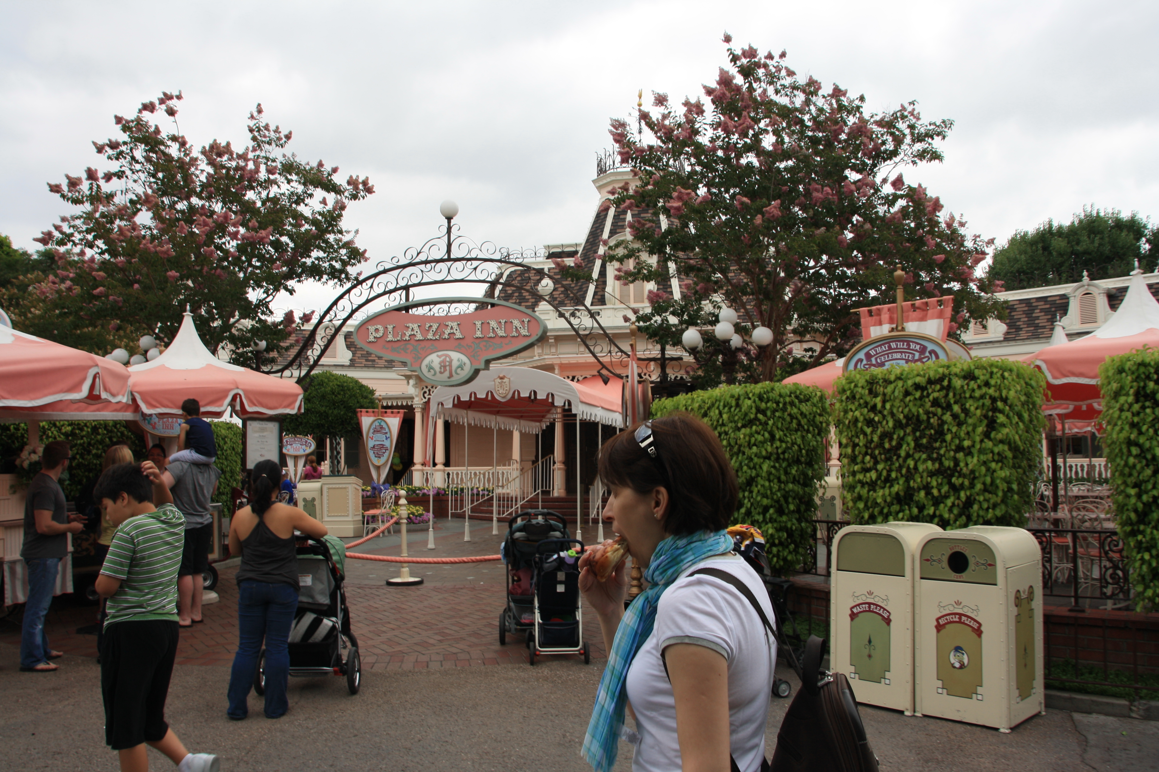 IMG_4553.JPG