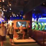 IMG_4633.JPG