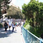 IMG_4649.JPG
