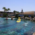 IMG_4656.JPG