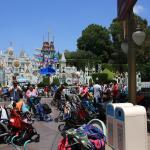 IMG_4664.JPG