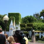 IMG_4672.JPG