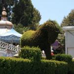 IMG_4703.JPG