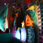 IMG_4781.JPG