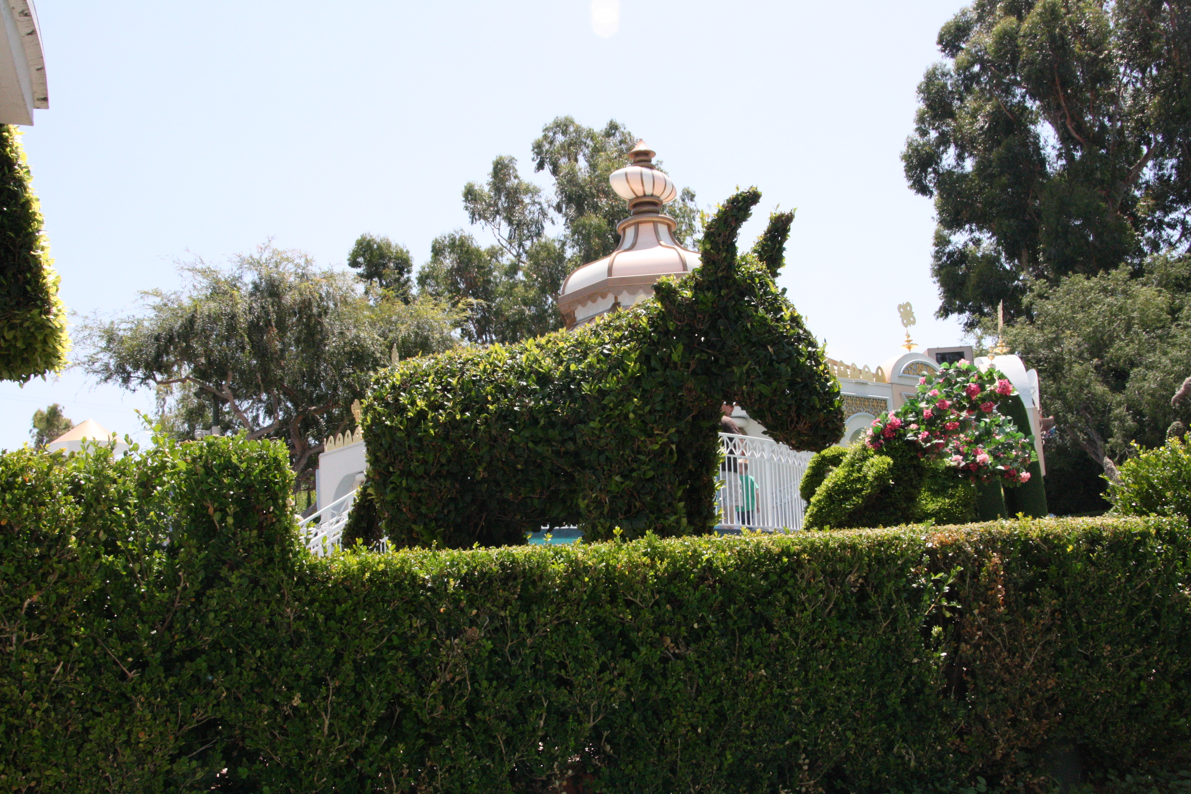 IMG_4836.JPG