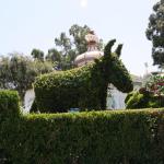 IMG_4836.JPG