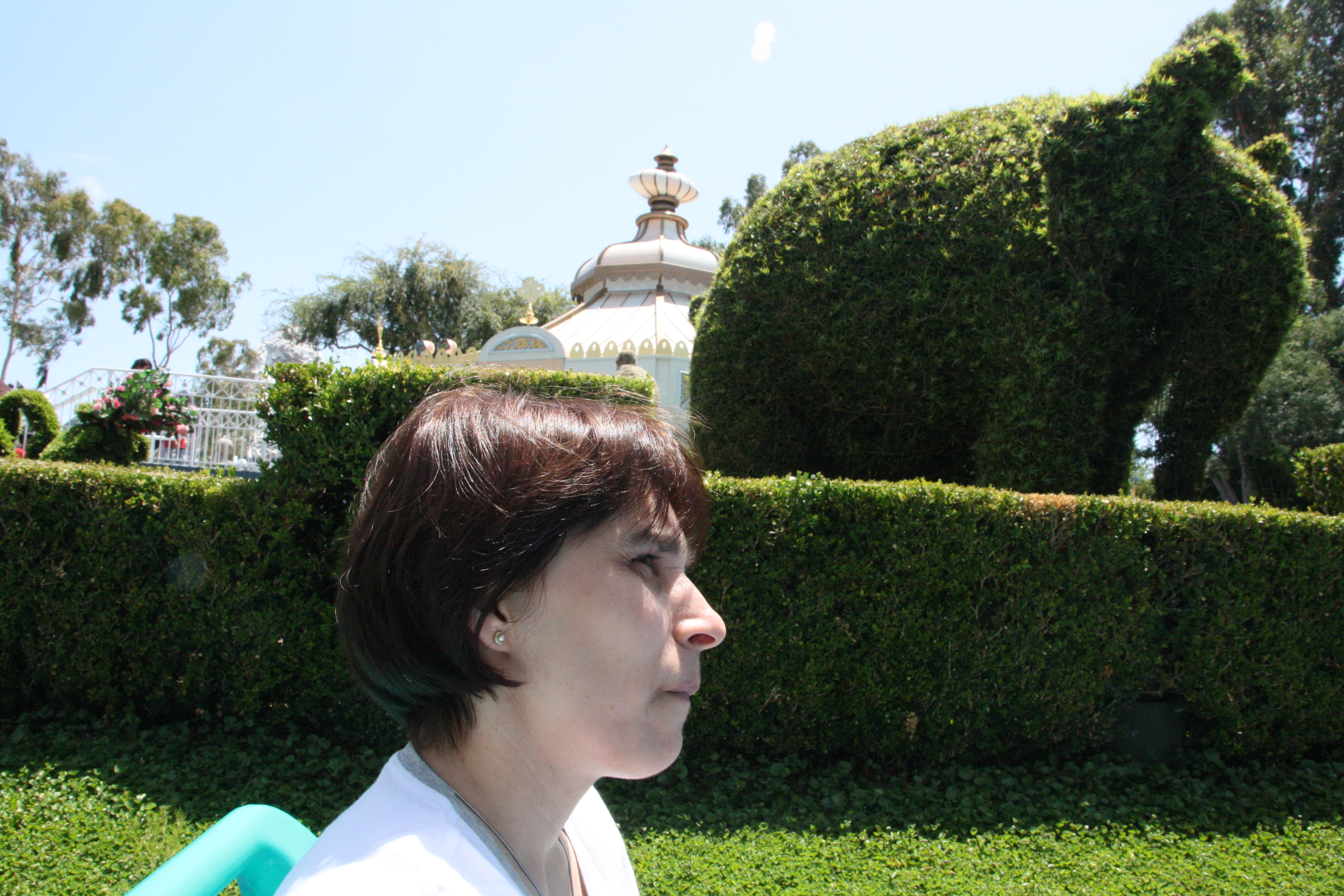 IMG_4840.JPG