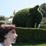 IMG_4841.JPG