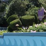 IMG_4843.JPG