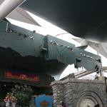 IMG_4855.JPG