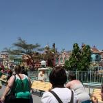IMG_4859.JPG