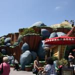 IMG_4893.JPG