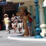 IMG_4944.JPG