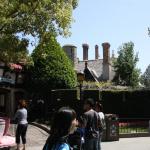 IMG_4950.JPG