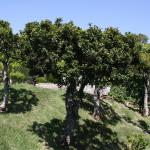 IMG_4978.JPG