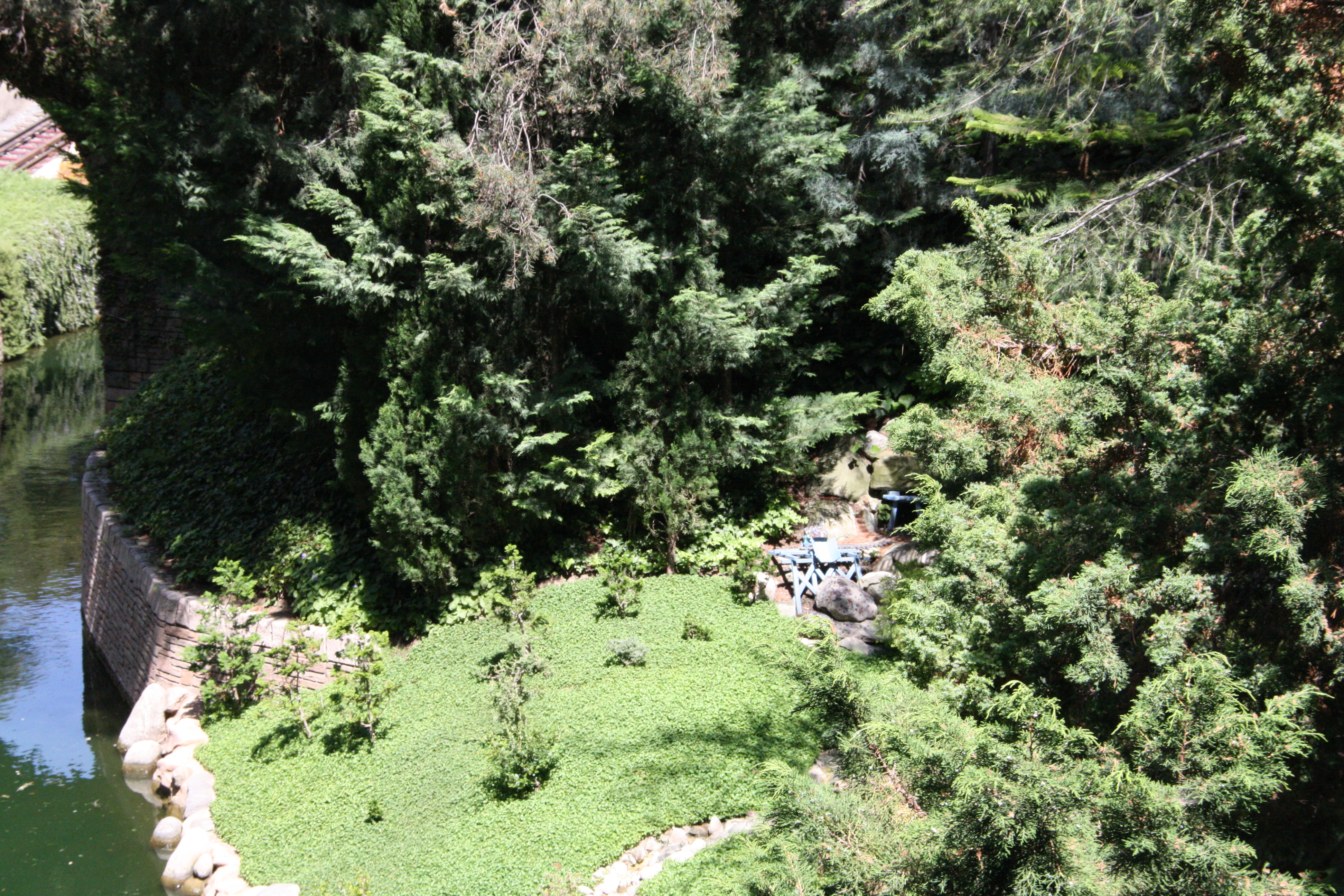 IMG_5004.JPG
