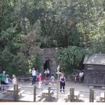 IMG_5079.JPG