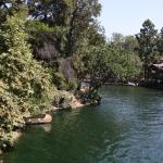 IMG_5116.JPG