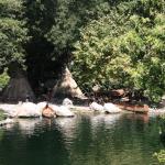 IMG_5125.JPG