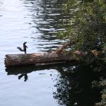 IMG_5135.JPG