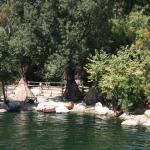 IMG_5140.JPG