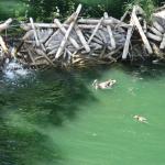 IMG_5146.JPG