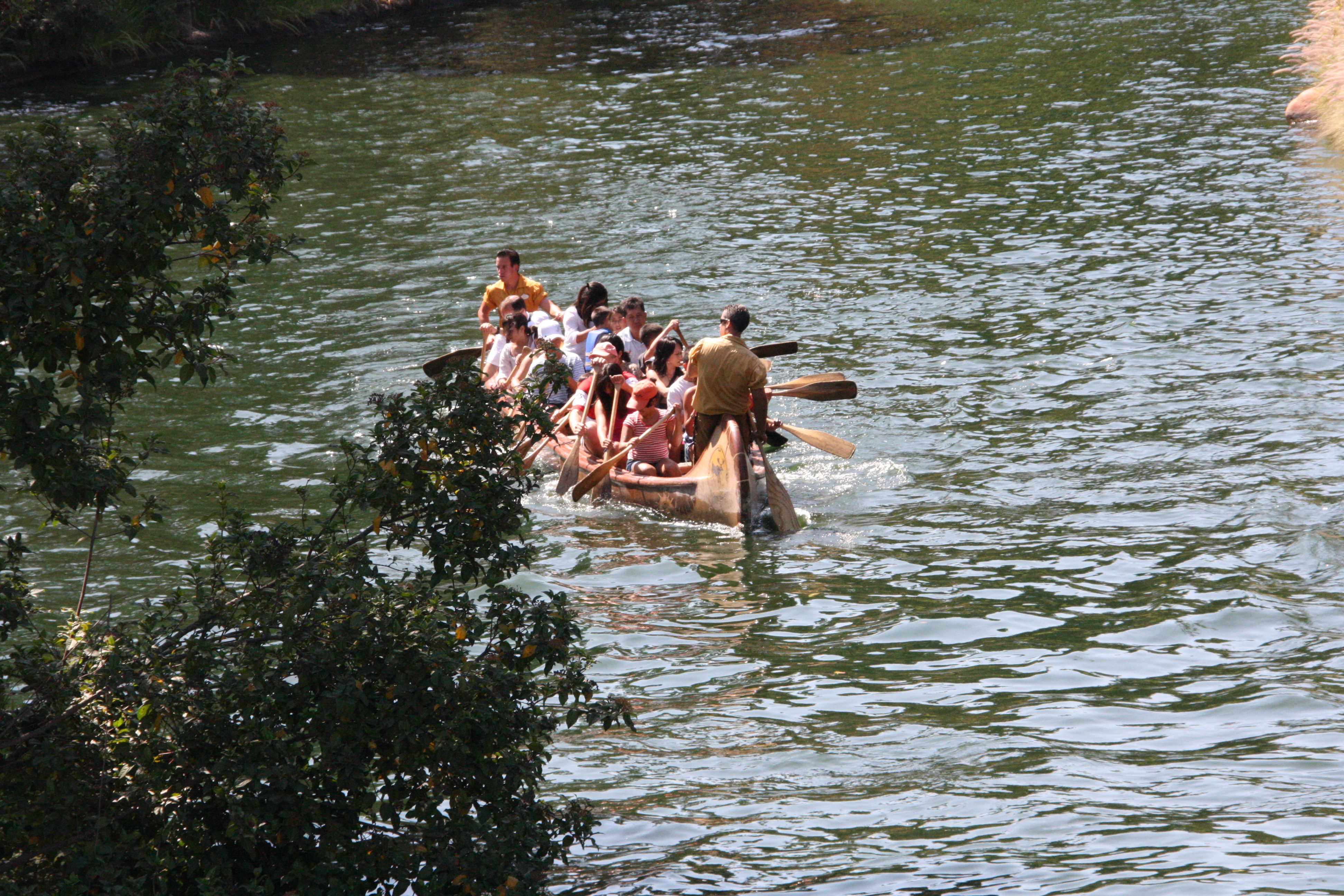 IMG_5167.JPG