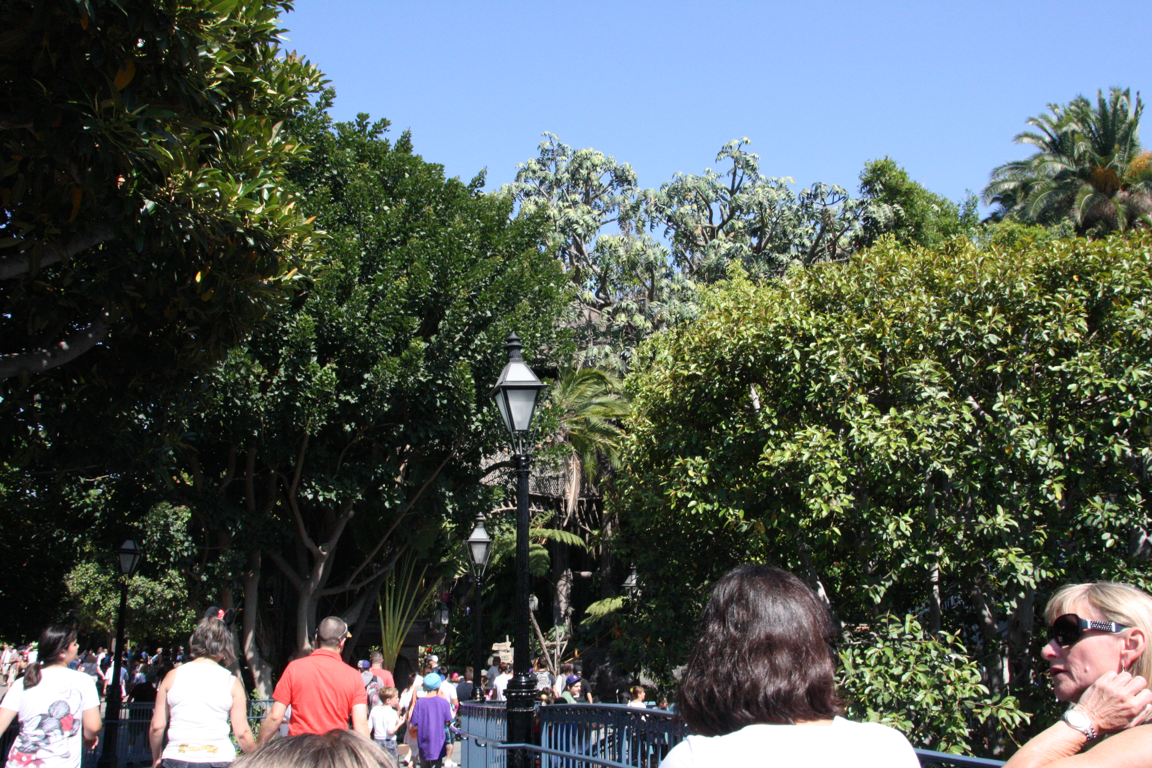 IMG_5187.JPG