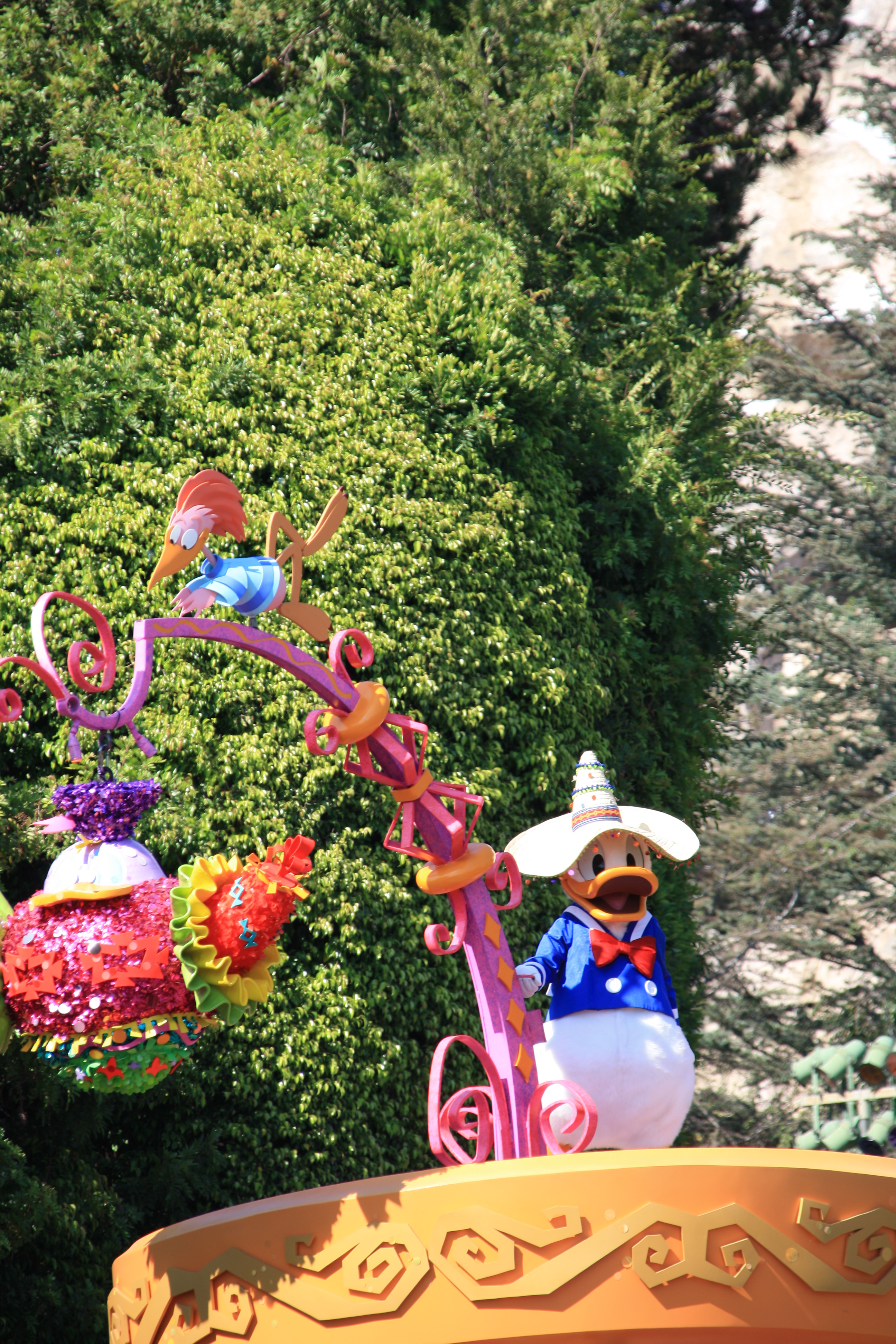 IMG_5273.JPG