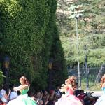 IMG_5279.JPG