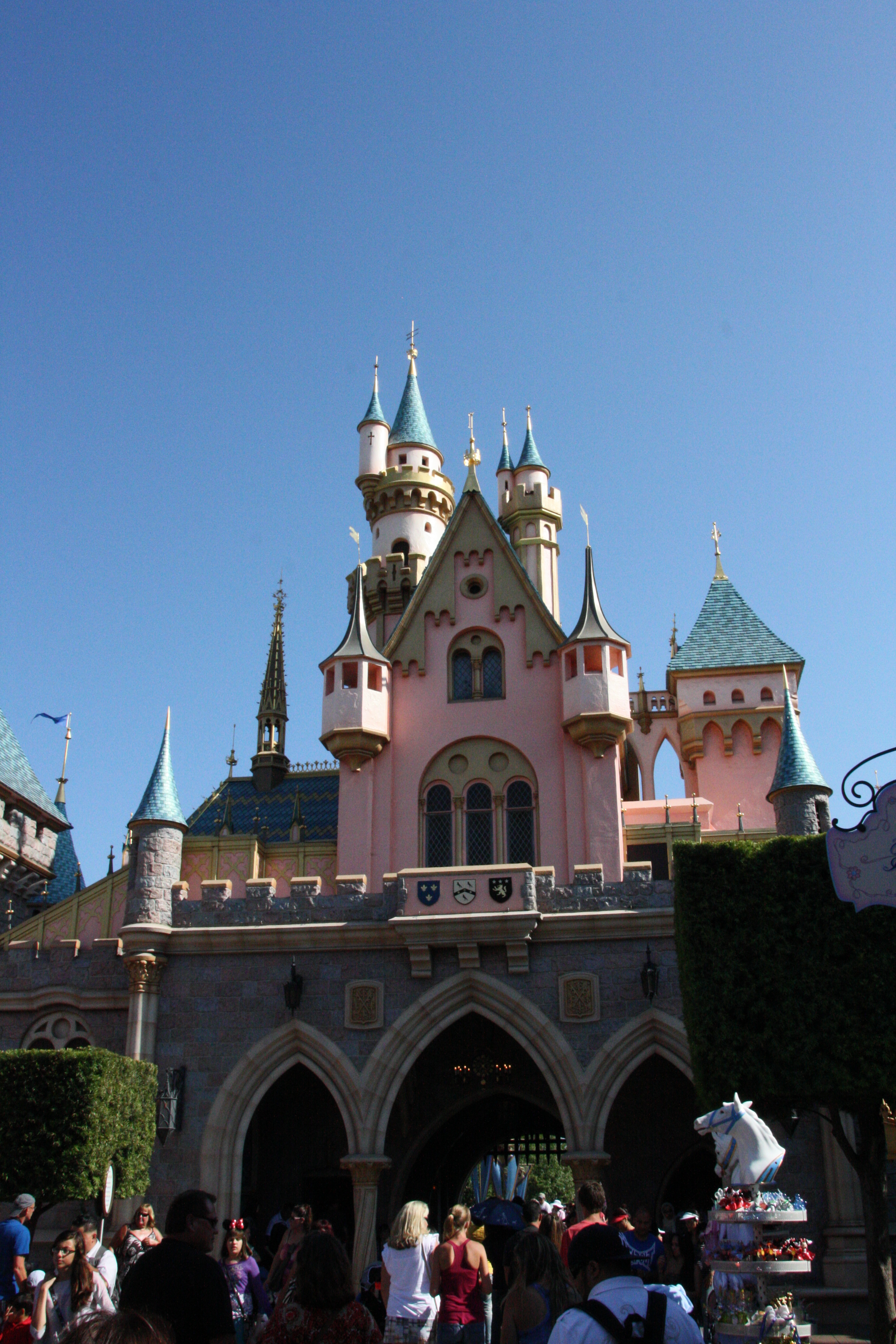 IMG_5384.JPG