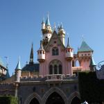 IMG_5384.JPG