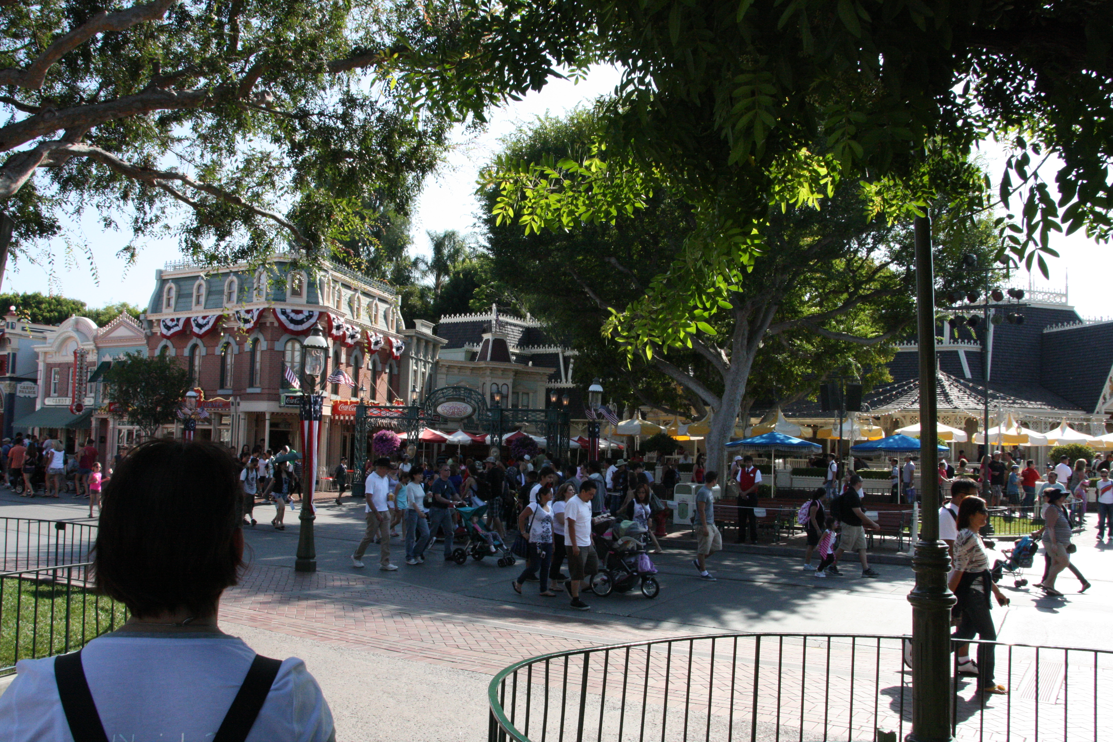 IMG_5387.JPG